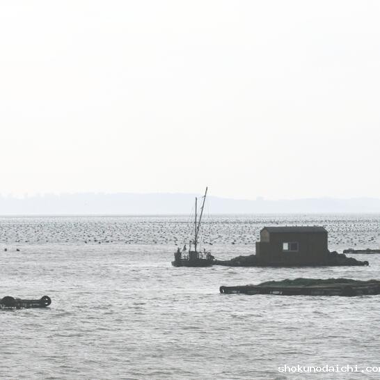 封面_副本.jpg 封面_副本.jpg