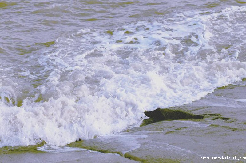 图片一_副本.jpg 图片一_副本.jpg